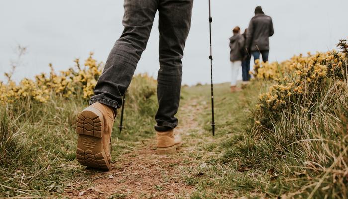A group of people walking along a hiking trail.
